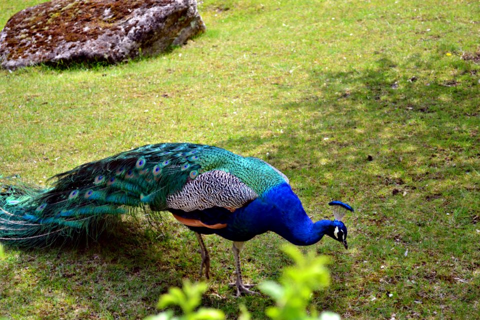 tierpark