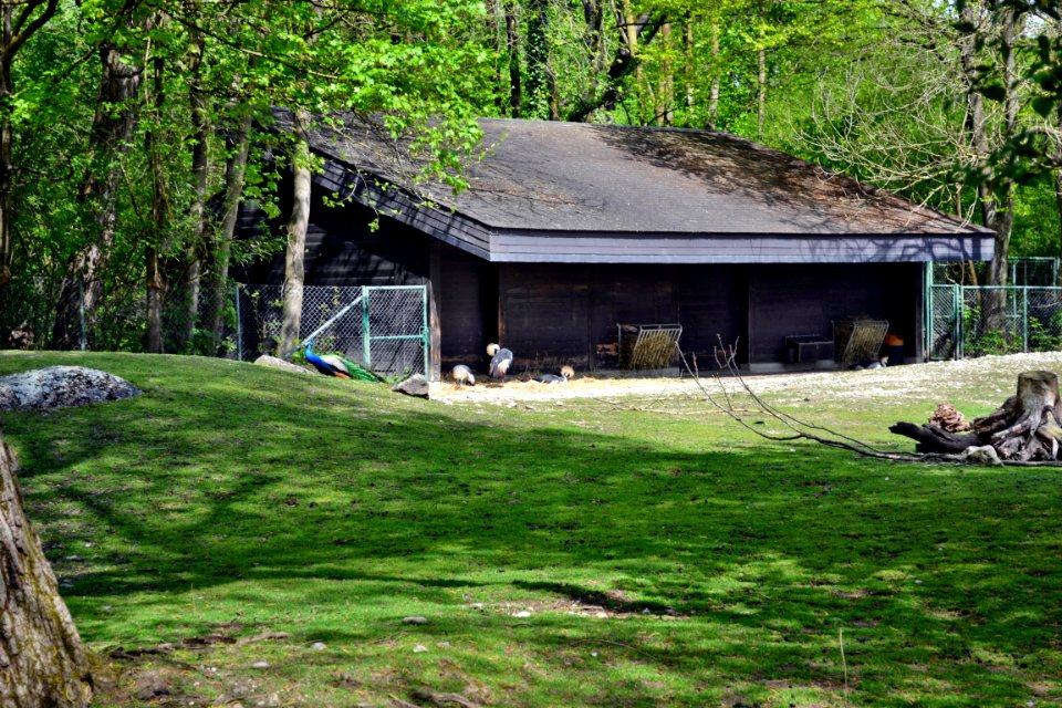 tierpark