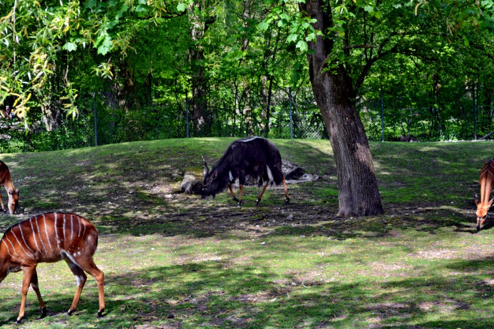 tierpark