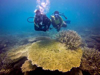 Menyelam di Pulau Tuan
