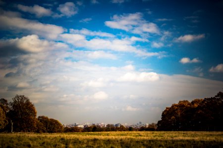 Richmond Park