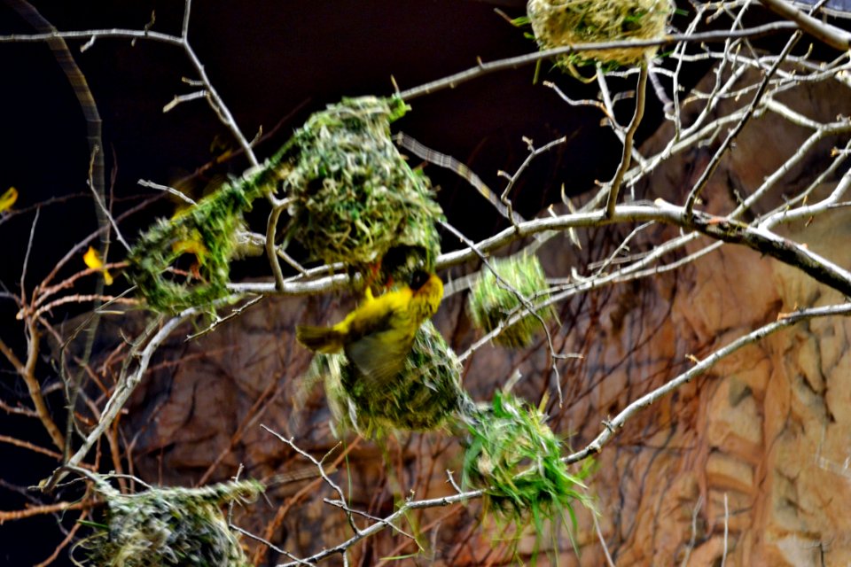 tierpark