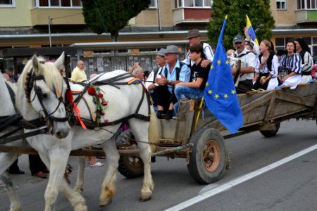 Toamna Cugireană