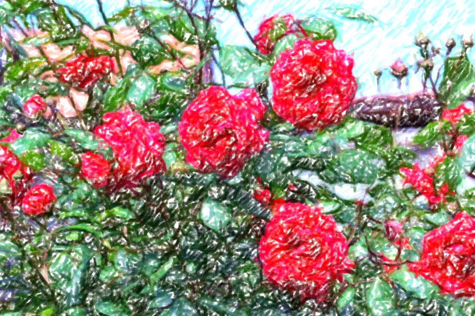 flowers (47)-crayon