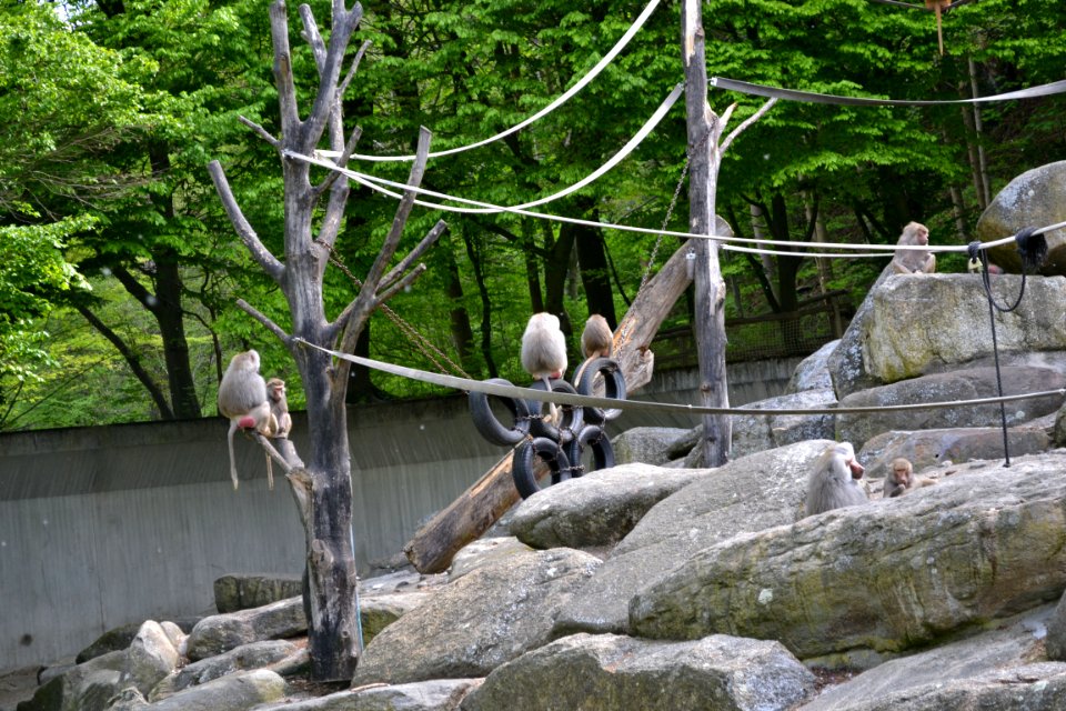 tierpark