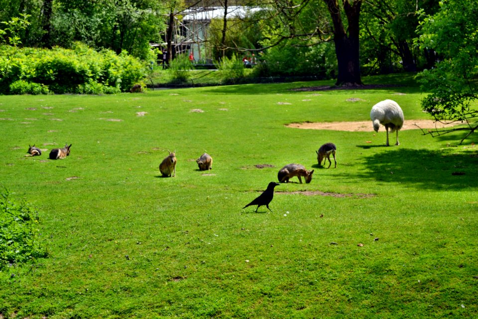 tierpark