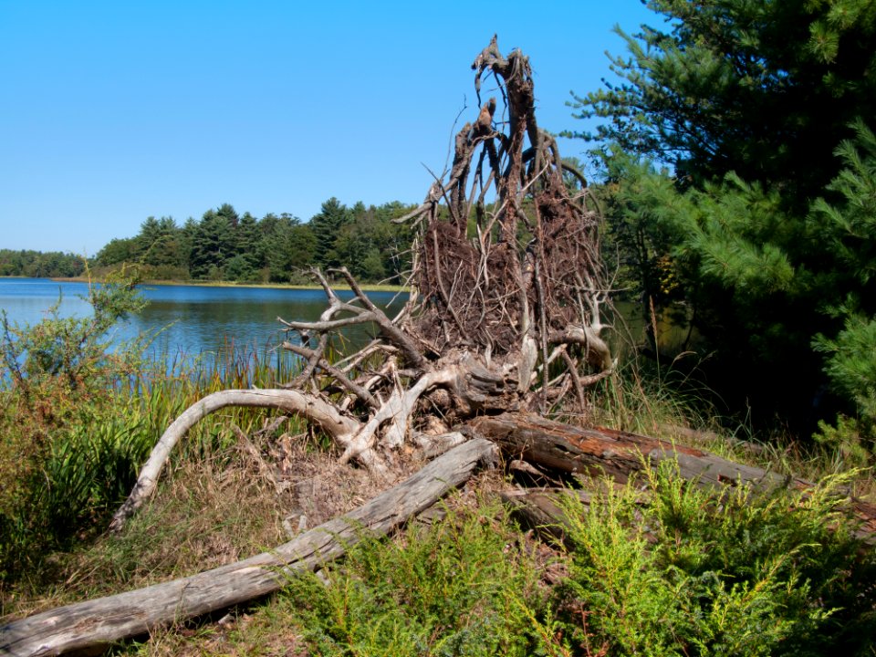 3518 hamlinLake