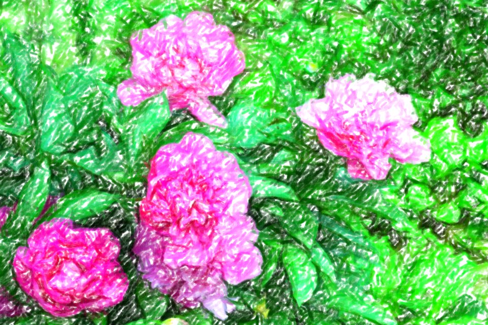 flowers (57)-crayon