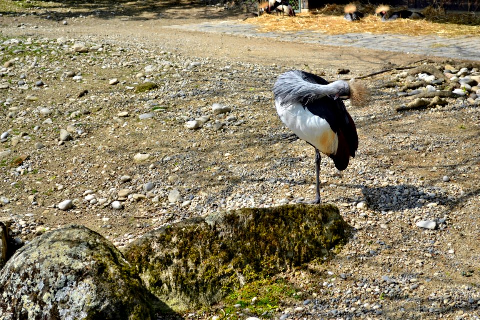 tierpark