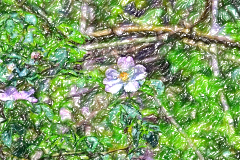 flowers (68)-crayon
