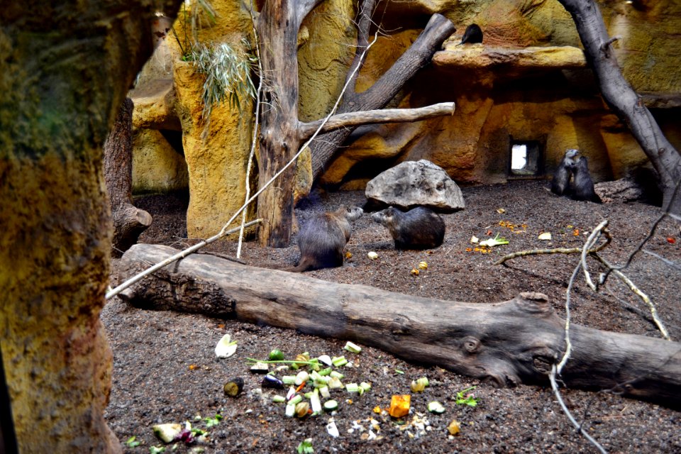 tierpark