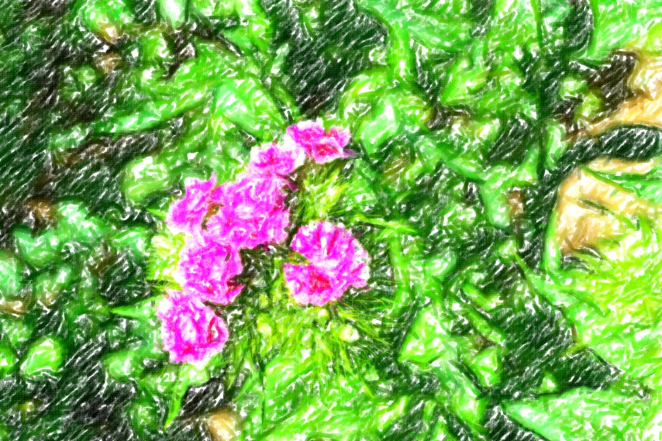 flowers (42)-crayon