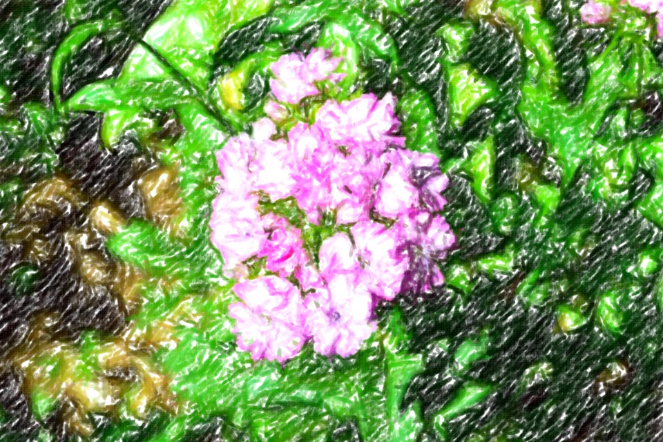 flowers (40)-crayon