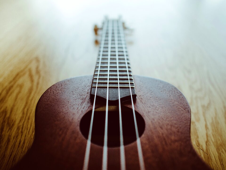 Ukulele music instrument