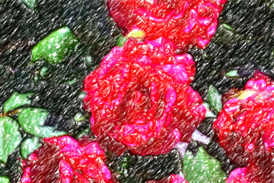 flowers (61)-crayon