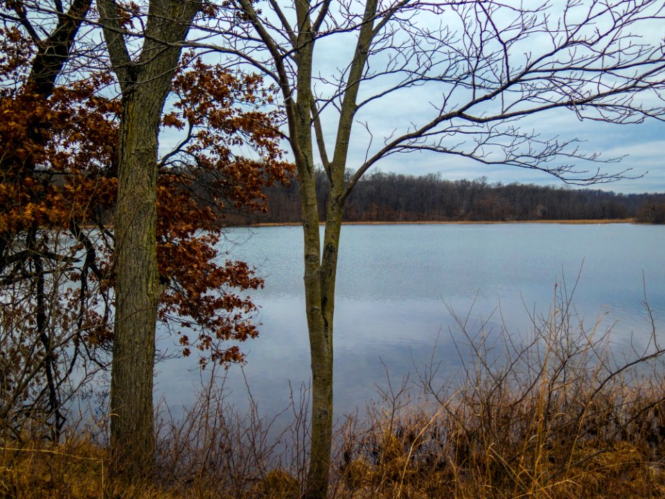 highlandHavenHill 0066