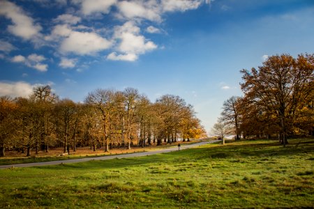 Richmond Park