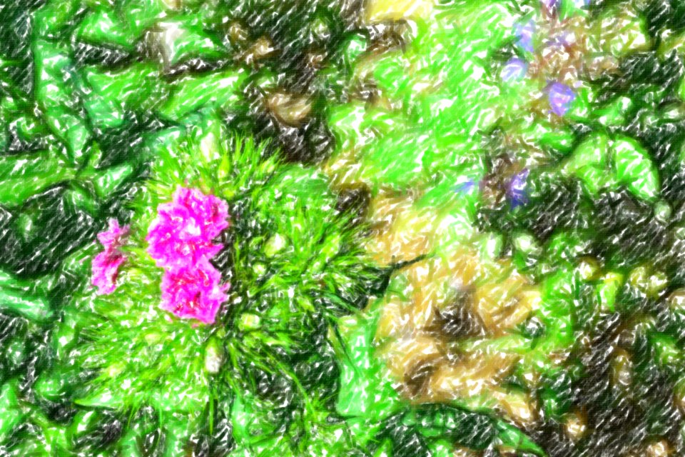 flowers (41)-crayon