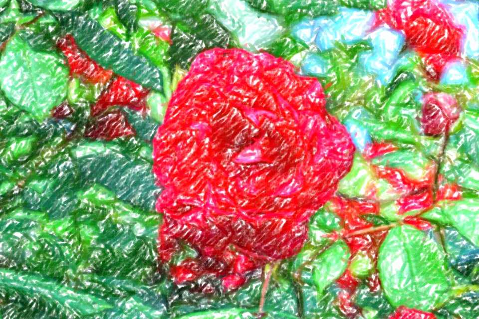 flowers (55)-crayon