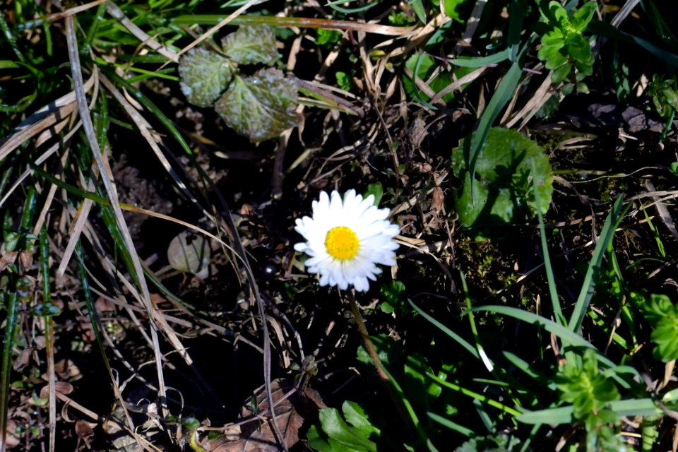 Spring 2014