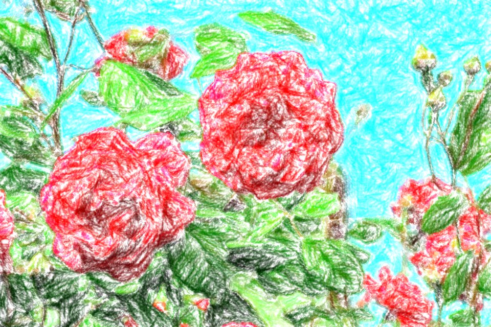flowers (53)-crayon