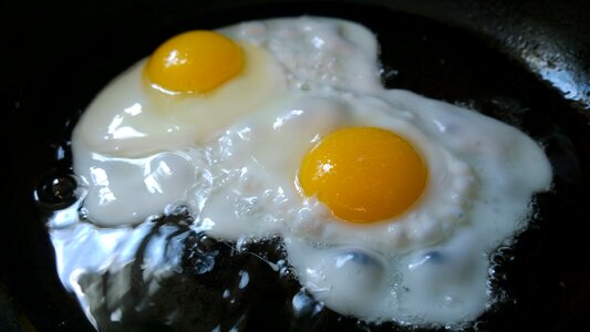 Food kitchen proteins