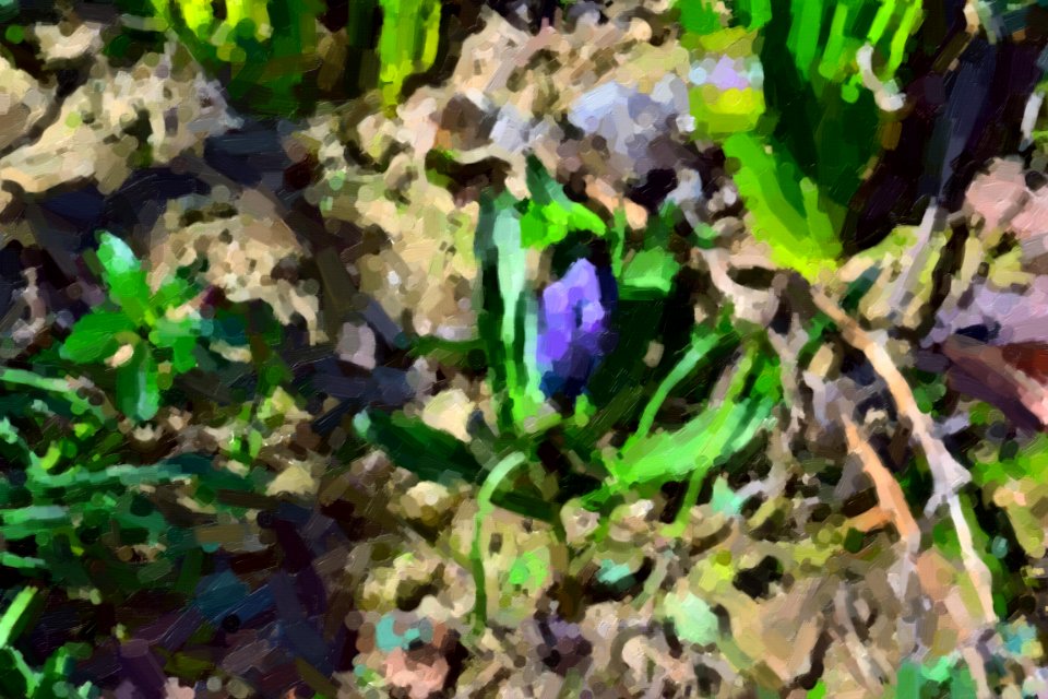 digital paintings