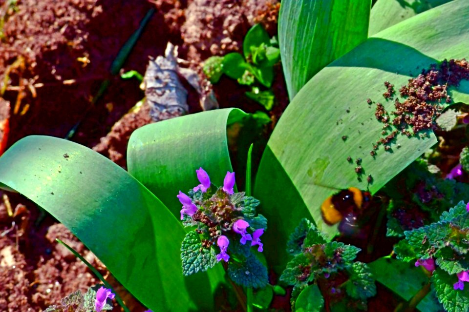 Spring 2014
