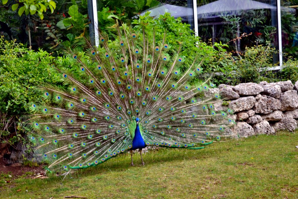 tierpark