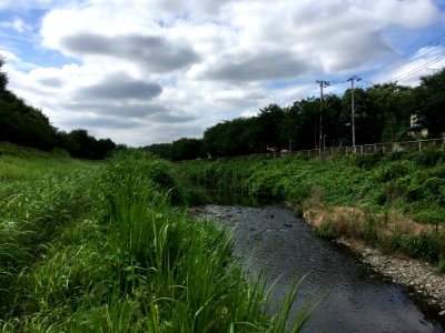 Nogawa River in Seijo and Kitami, Setagaya-ku