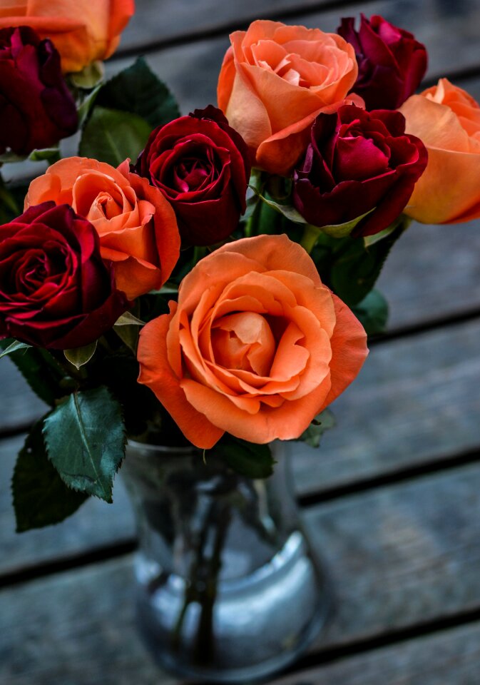 Color flowers bouquet flower bouquet