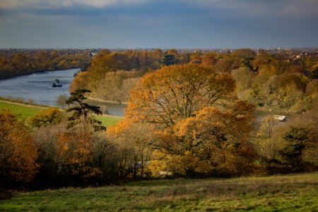 Richmond Park