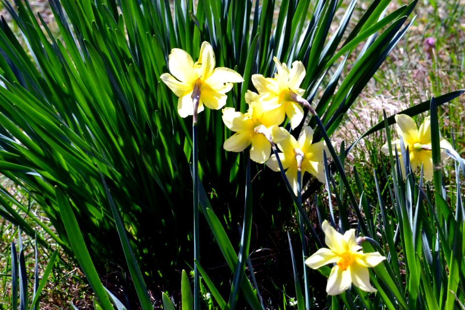Spring 2014
