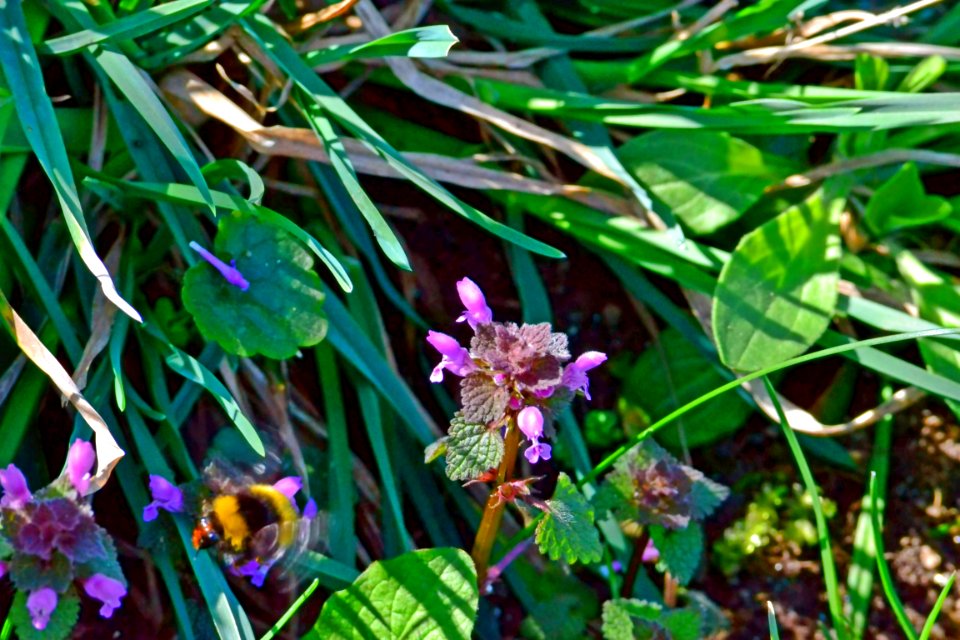 Spring 2014