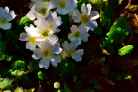digital paintings