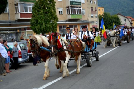 Toamna Cugireană