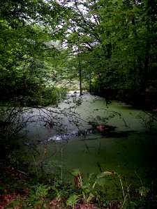 07springLakeTrail 2402
