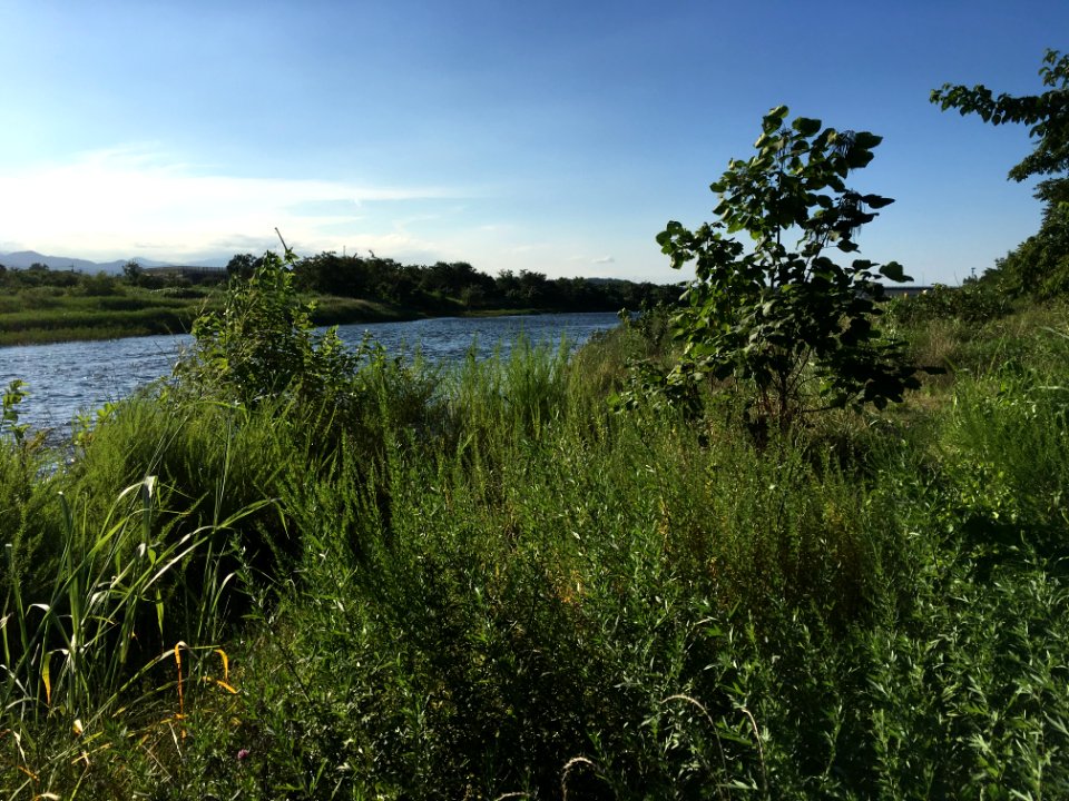 Tamagawa Ryokuchi Fussa-Minami Park in Fussa-shi