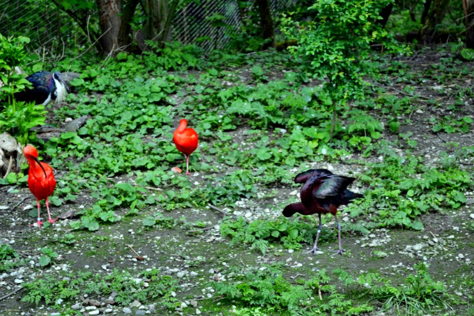 tierpark