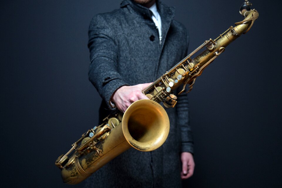 Musician instrument wind instrument