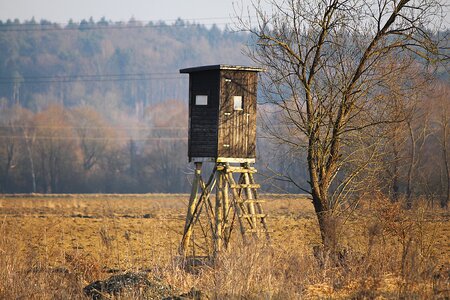 Perch hunting seat hunter was