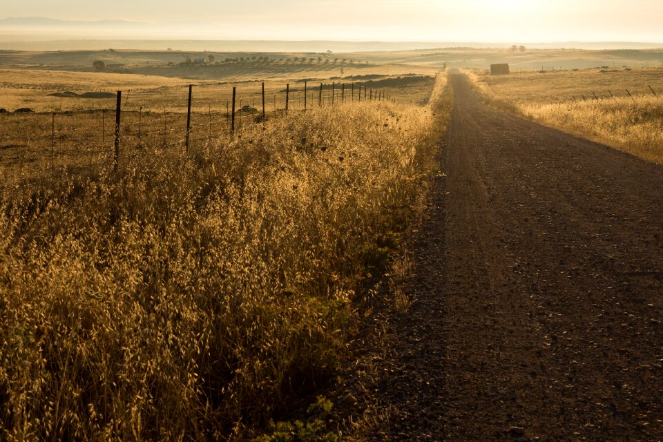 Street countryside rural
