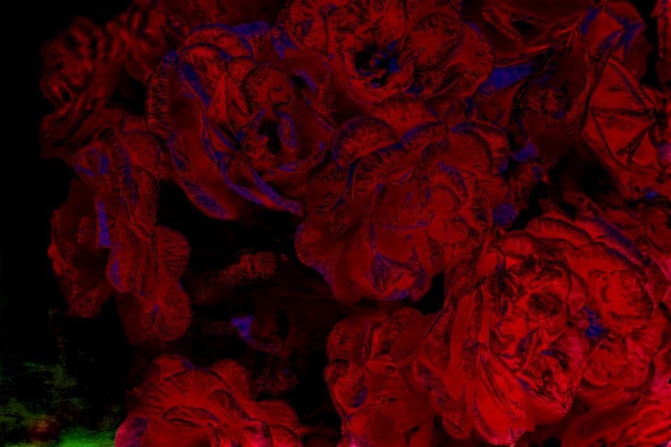 digital painting (1)