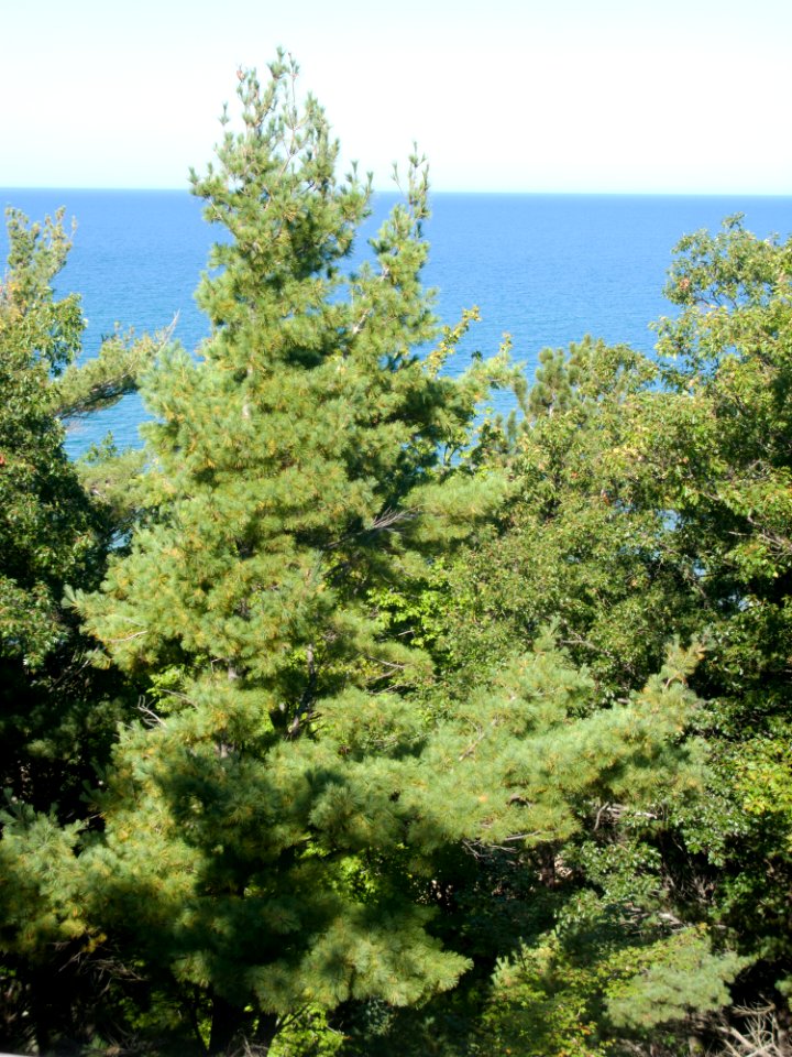 3514 LakeMichiganRecreationArea