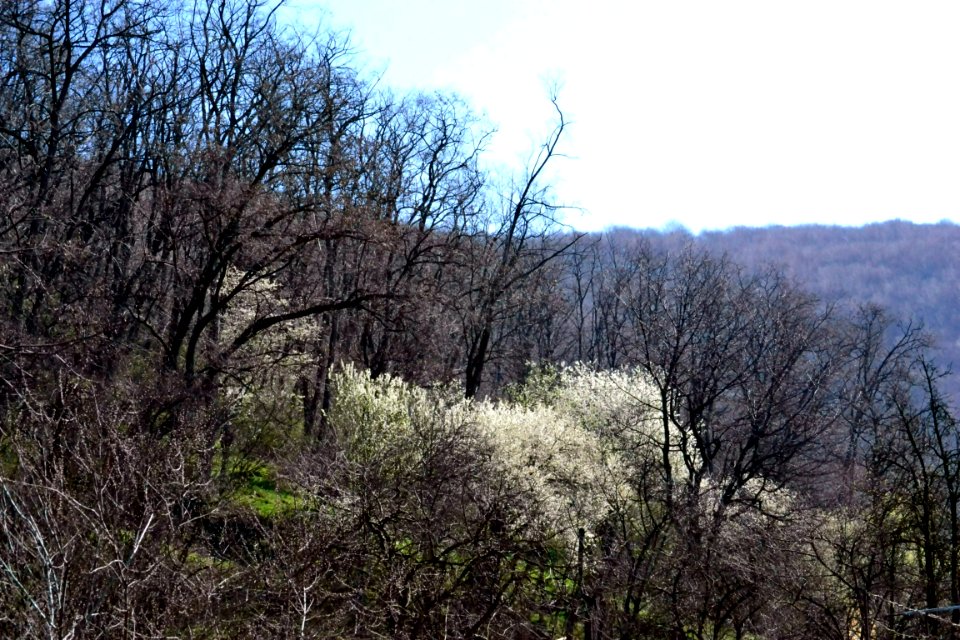 Spring 2014