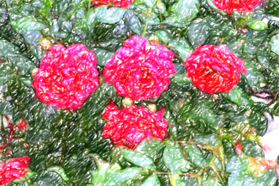 flowers (50)-crayon