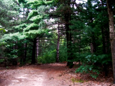 08ncTrail 2462