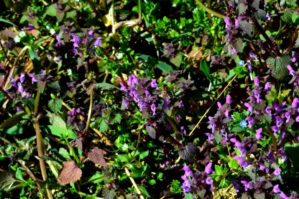 Spring 2014