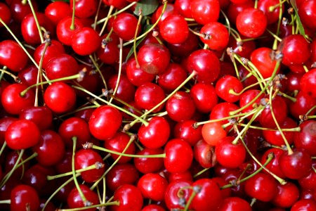 sour cherries photo