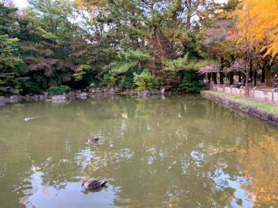 Hikarigaoka Park in Nerima-ku
